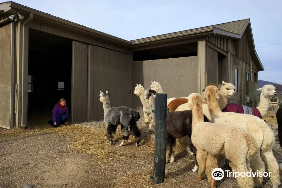 Long Acres Alpaca Farm