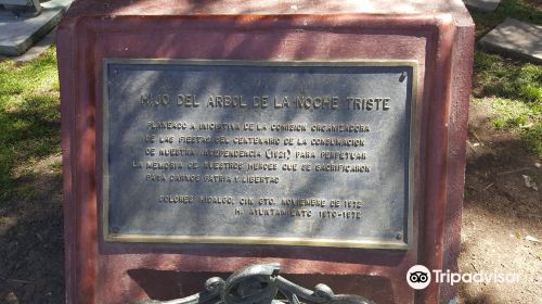 Hijo del Arbol de la Noche Triste