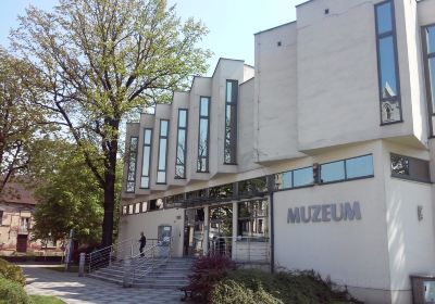 Kalisz Museum