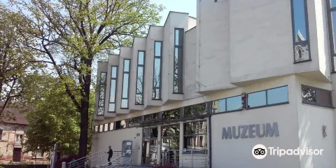 Muzeum Okregowe Ziemi Kaliskiej