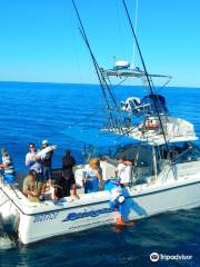 Renegade Fishing Charters