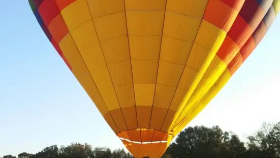 Skycruise Balloon Flights