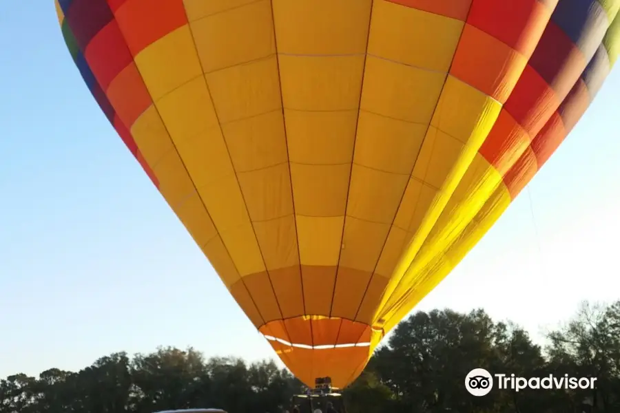 Skycruise Balloon Flights