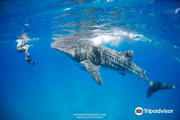 Voli da Johannesburg per Inhambane