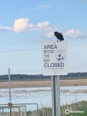 Shiawassee National Wildlife Refuge