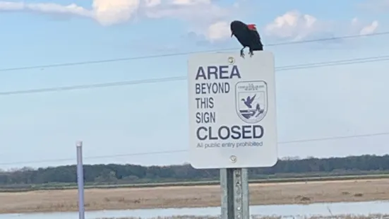 Shiawassee National Wildlife Refuge