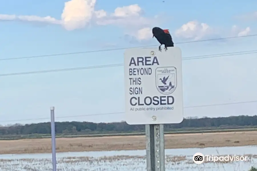 Shiawassee National Wildlife Refuge