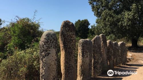 Menhirs Paddaghhu