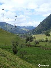 Los Nevados National Park