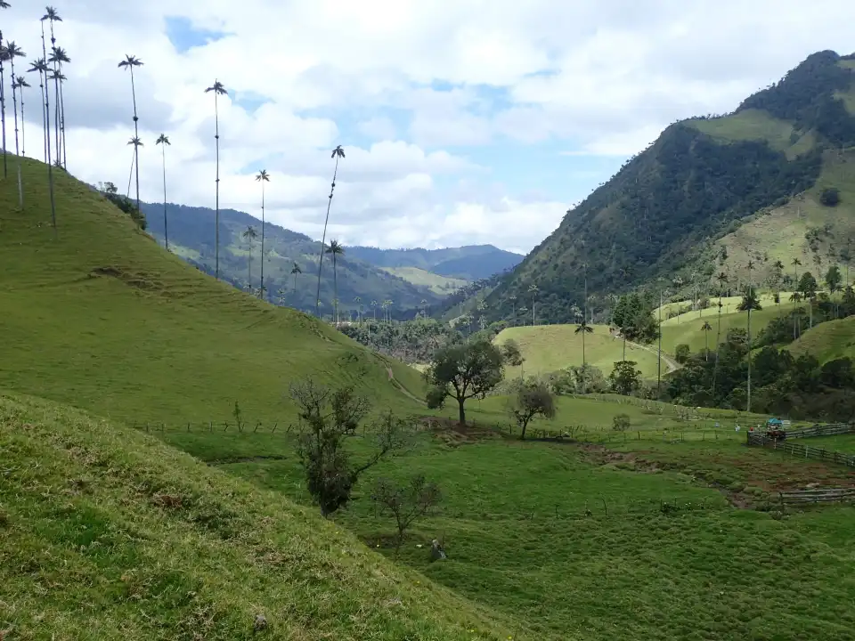4_Los Nevados National Park