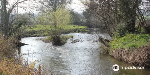 River Alyn