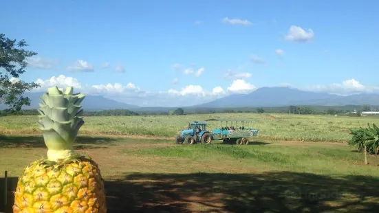 Guanacaste Pineapple Park