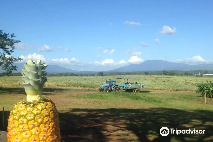 Guanacaste Pineapple Park