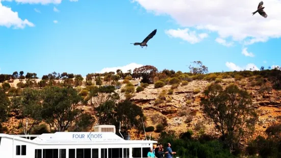 Four Knots Murray River Cruises