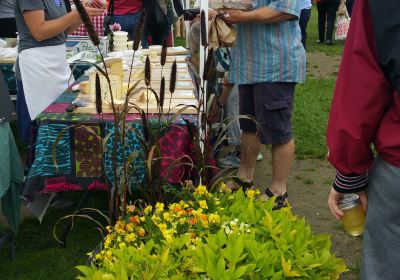 Norwich Farmers Market