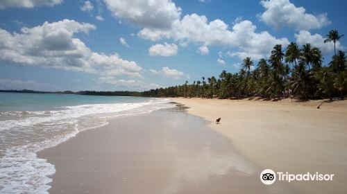 Playa Coson Beach