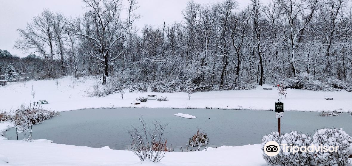 Things to Do in Moon Township in 2024 - Top Attractions, Local Food ...