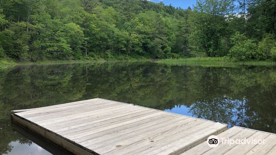 Quarry Road Trails