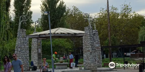 Rozsaliget es a Csitari kut