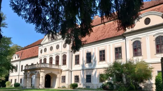 Dvorac Jankovic
