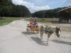 Il Piccolo Ranch Terminio