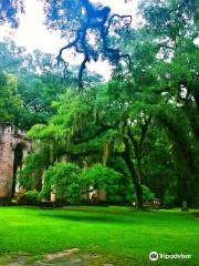 Old Sheldon Church Ruins