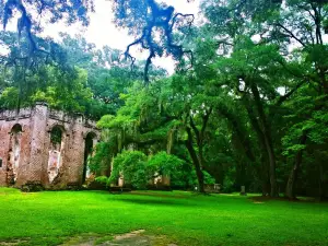 Old Sheldon Church Ruins