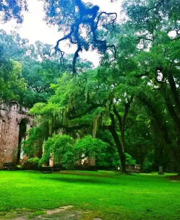 Hoteles SpringHill Suites by Marriott en Condado de Beaufort