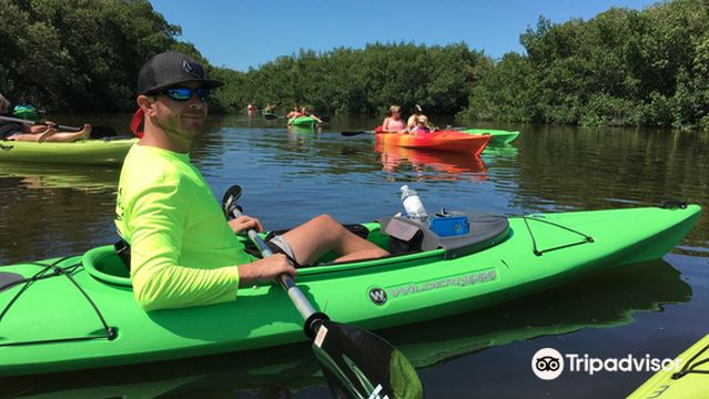 ULTIMATE KAYAK SRQ - Siesta Key Kayaking Tours & Rentals