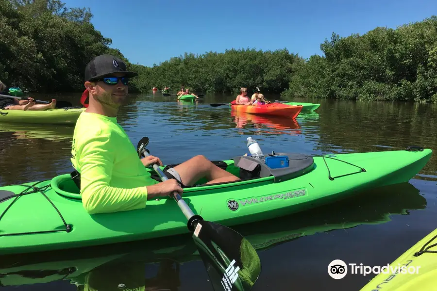 ULTIMATE KAYAK SRQ - Siesta Key Kayak - Boat Tours Rentals