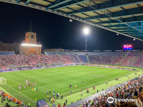 Renato Dall’Ara stadium