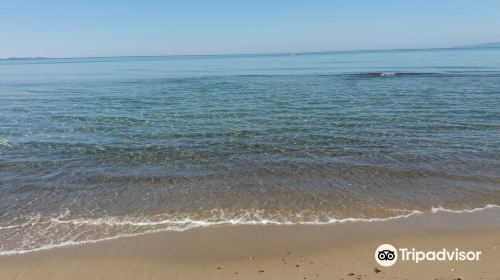 Spiaggia Di Torre Mozza