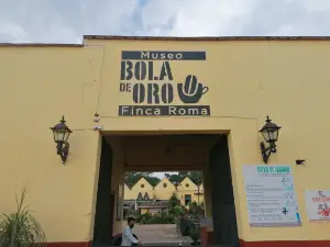 Museo Bola De Oro