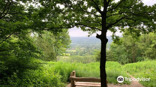 Trosley Country Park