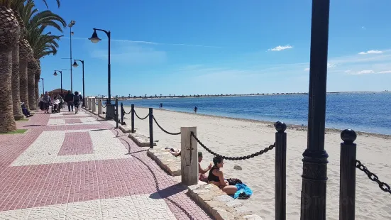 Playa de Villananitos