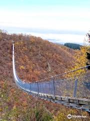 Geierlay Suspension Bridge