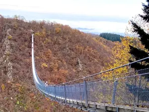 Geierlay Suspension Bridge
