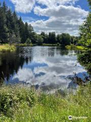 Annamoe Trout Fishery