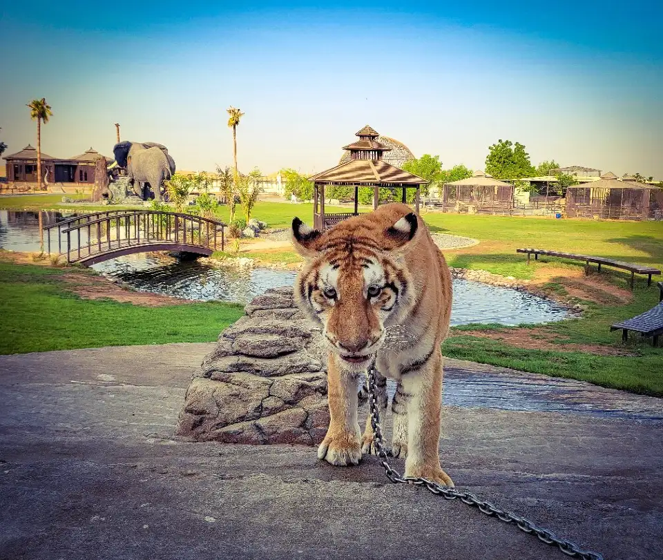 3_The Zoo Wild Life Park Umm Al Quwain