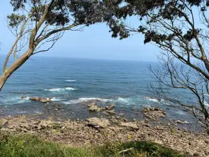 Playa de la Griega
