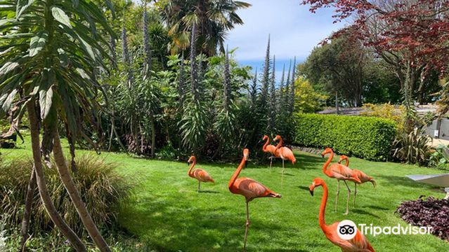 パラダイス・パーク・アンド JungleBarn コーンウォール