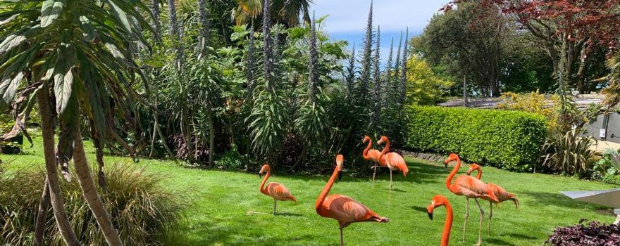 Paradise Park and JungleBarn Cornwall