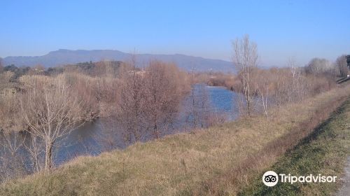 Parco Fluviale del Serchio