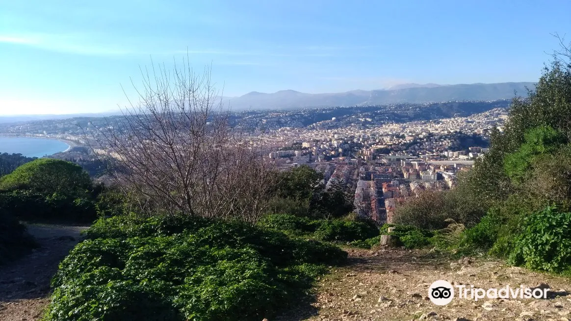 3_Fort du Mont Alban