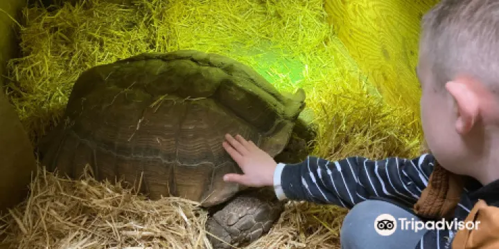 亨士勞城市農場