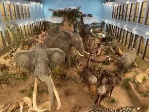 Lasting Legacy Wildlife Museum