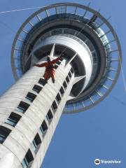 AJ Hackett Auckland SkyJump & SkyWalk