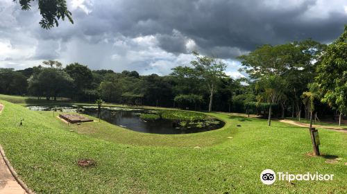 Municipal Botanical Garden of Bauru