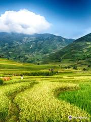 Mu Cang Chai