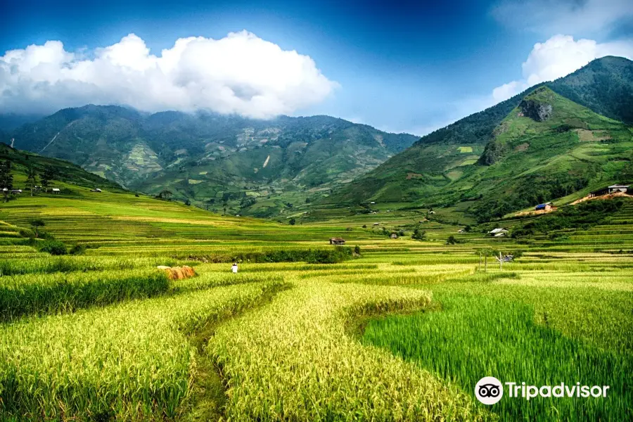 Mu Cang Chai